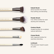 Brush Essentials Kit