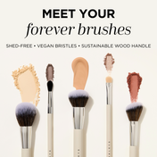 Brush Essentials Kit