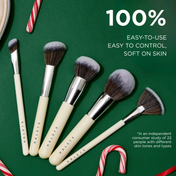 Complete Face Brush Set