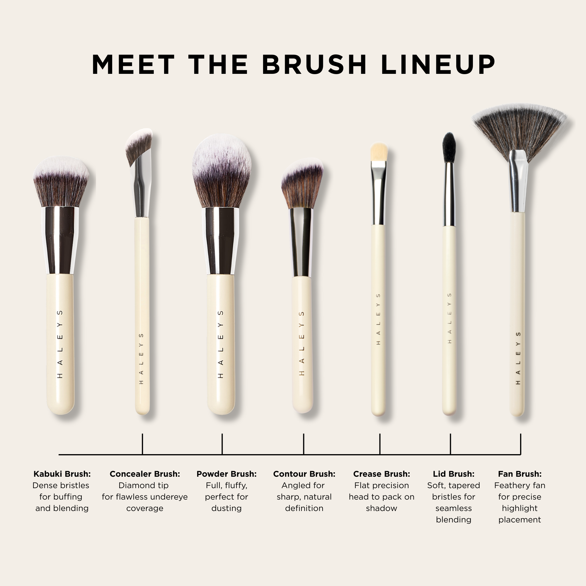 Fan Brush