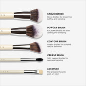 Brush Essentials Kit