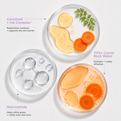 Re–prep Hydrating Carrot Priming Essence