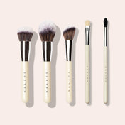 Brush Essentials Kit