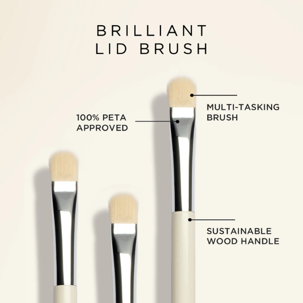 lid-brush-infographic.png